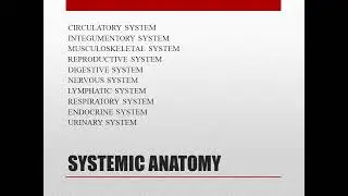ANATOMY TUITION GUIDELINE PART 2