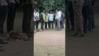 B M sir student ko motivate and guide करते हुए
