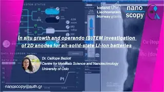In situ growth and operando (S)TEM investigation of 2D anodes for all-solid-state Li-ion batteries