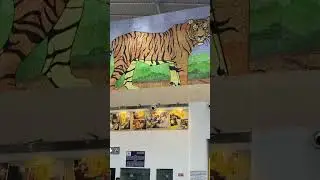 Devi Ahilyabai holkar AirPort inside view