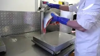 Direct Seafoods: Difference Between Gross and Net Weight