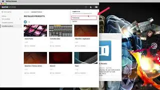 Настройка мест установки в Native Access