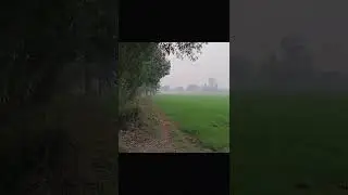 Kheto ka nazaara🌿☘️🌳🌴🪵