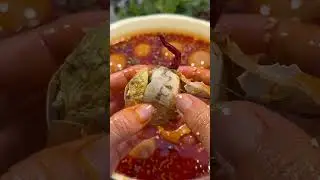 What&rsquo;s Inside This Strange Egg?