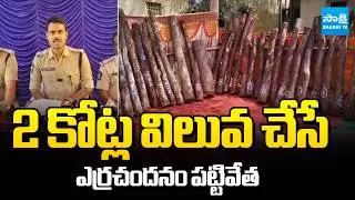 2 Crore Worth Red Sandalwood Caught in Rajampet YSR District | Sakshi TV