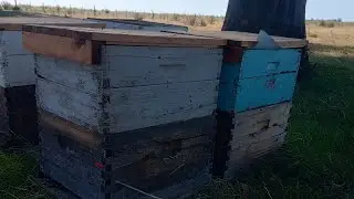 Se termin&oacute; la temporada por ac&aacute;??