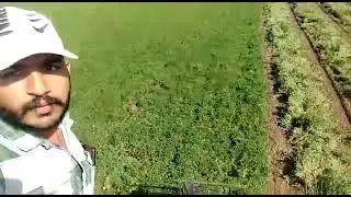 GROUNDNUT DIGGER HAPPY FARMER | MO 9879011208.