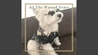 Call Me Punk (feat. Dominique Lacroix)