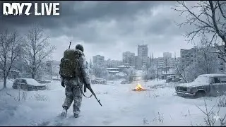 Solo in winter Chernarus!  | 1440p60fps  #dayz #survival #pcgaming
