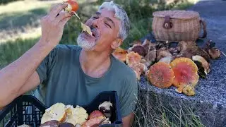 Funghi Ovoli E Funghi Porcini A Settembre ! 🍄&zwj;🟫