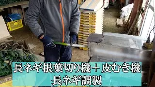 長ネギ調製(長ネギ根葉切りき＋皮むき機)　お客様使用例