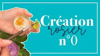 Envie de créer votre propre rosier? Découvrez comment on commence!