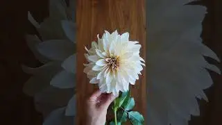 How to Make Fresh Flowers Last Longer 💐