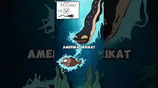 Belut Listrik | Monster Sungai dengan Kekuatan Setrum Dahsyat