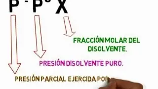 📝 Ley de raoult (ejercicio resuelto)