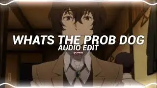 whats the prob dog let me think about it   wisekids edit audio