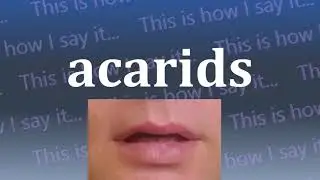 This is How I Say...acarids
