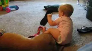 pitbull and baby