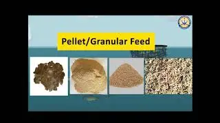 Feed Management for Fish Farming/ Mahila Kishan/Module 3/SHG/TRLM/Tripura