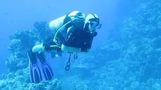 Dive Safari Tours