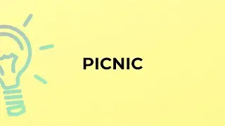 What is the meaning of the word PICNIC?