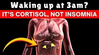 Sleep & Hormones: Why You&rsquo;re Tired & Gaining Weight