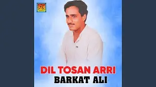 Bawafa Aj Bhi Aa Piyar Tosaan