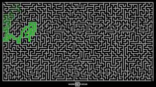 Maze Puzzle Challenge with Animated Multi Paths | Difficulty Level 10 | Maze Game No. #107