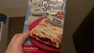 Toaster Strudel Strawberry review
