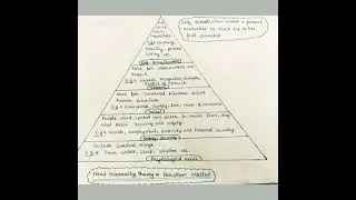 Need Hiearachy Theory  | Abraham Maslow theory of Motivation | Nta Net Commerce/Management.