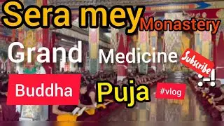 Seramey #monastery Garnd medicie #puja#seramey monastery #karnataka@dorjedhakpa #vlog