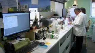 Will Maine lead the way in importing prescription drugs?