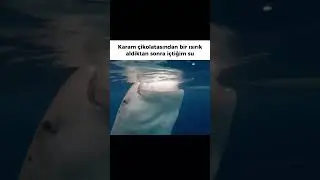 i&ccedil;tiğim su miktarı