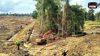 Excavator Digging a Trench in the Forest | Relaxing ASMR Heavy Equipment Sounds