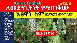 ለመድሃኒትነት የሚጠቅሙ እፅዋት ስም - Names of Ethiopian medicinal plants and herbs - Part 5