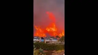 Los Angeles Wild Fire | Donate Los Angeles 🌍 Save Los Angeles |