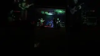 Groove Monkey at Water Hole