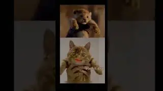 Bakchod Billa Ep2 //Creator Ankit.ang // G》A》N》D》U Billa #memes #catmemes