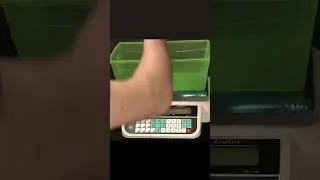 Counting Scale Demonstration