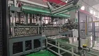 Pulp Molding Machine