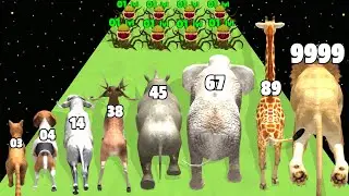 Animal Evolution Transform Run - Level Up Animal Max Level Gameplay (Animal Run)