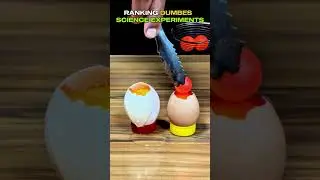 Рейтинг самых глупых научных экспериментов🤣