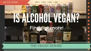 | The Vegan Newbie | Is Alcohol Vegan?!