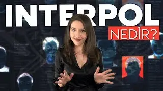 Interpol nedir?