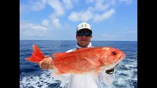 Bottom Fishing in Quepos Costa Rica!
