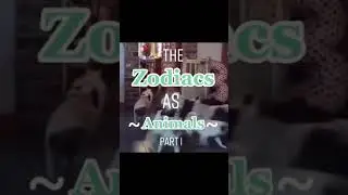 What animal are you based off your zodiac 🦒 | Zodiac Signs # #shorts #Zodiac