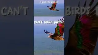 AI Can't Make Birds Fly #birds #aibirds