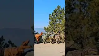 Cute dance of dinosaurs || Dino valley #shorts #dinovalley #islamabad #dinosaurs #exploremore
