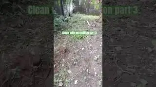 clean with me edition part 3.into the woods w/my dogs#trailpreview#lawn  #cleaningtime#cleanwithme