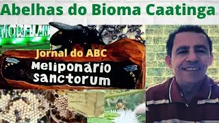 Jornal do ABC - CCXL